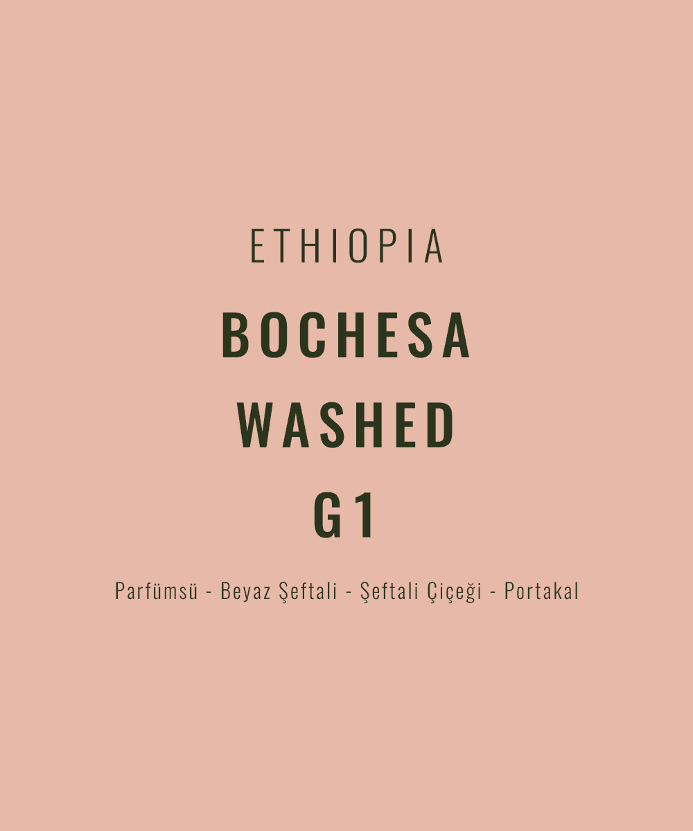 Image of Ethiopia - Bochesa Washed G1