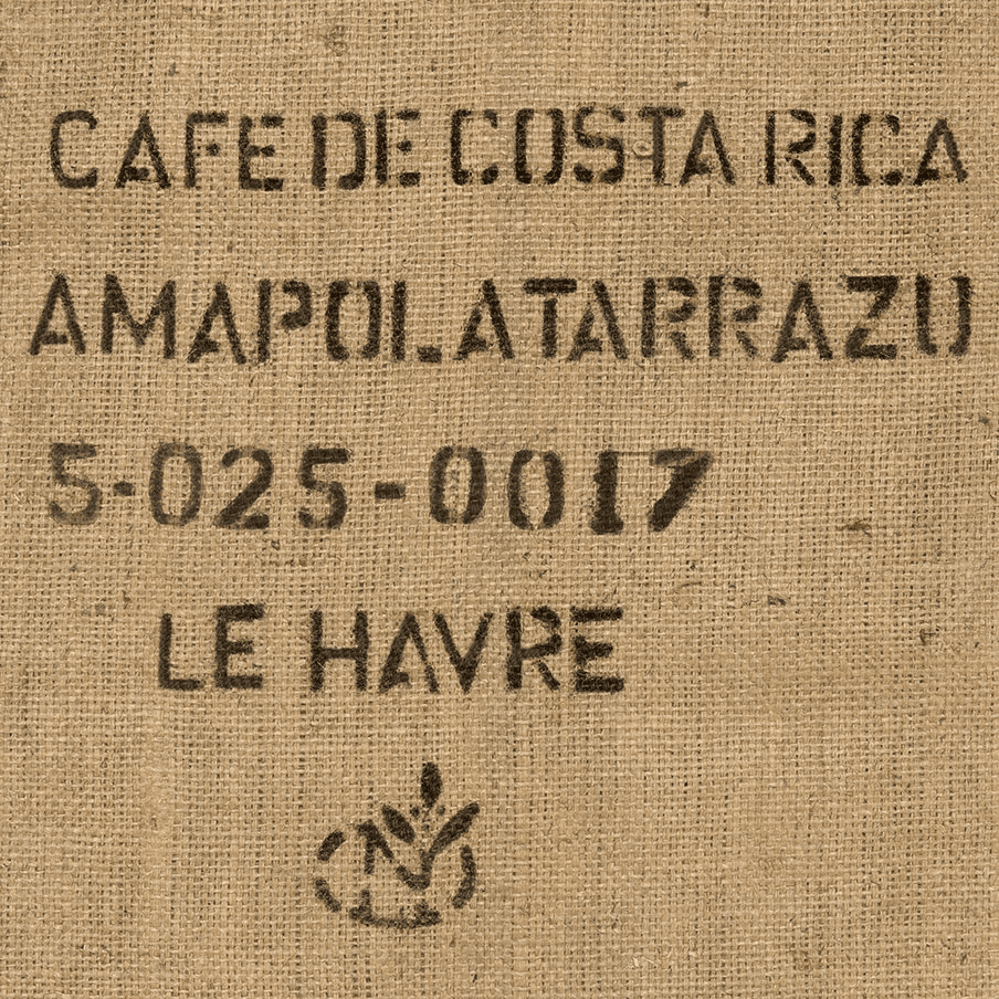 Image of Tarazzu Amapola