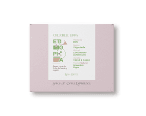 Image of Chelchele Lippa Cafe de Etiopia