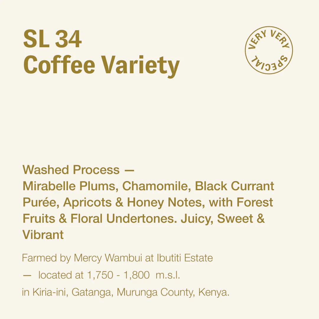 Image of  SL 34 Coffee Variety 