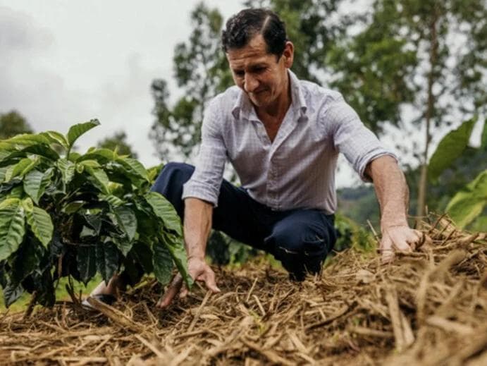 Image of Peru El Palto Natural