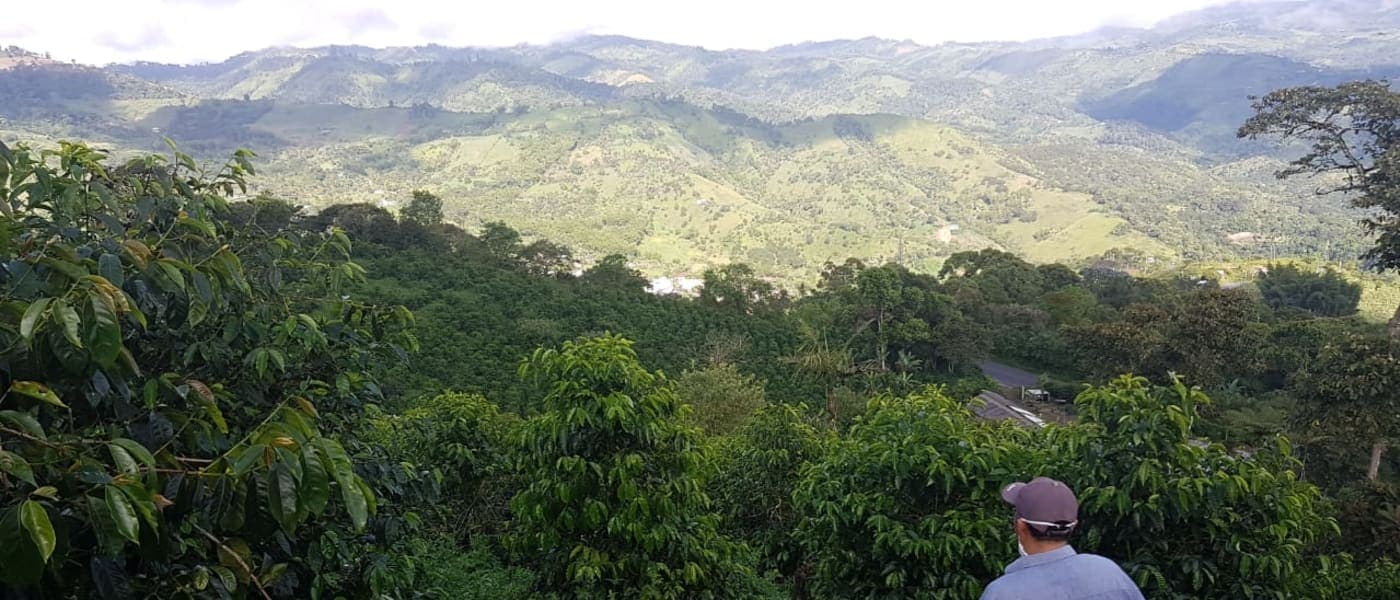 Image of Ecuador Don Vallejito