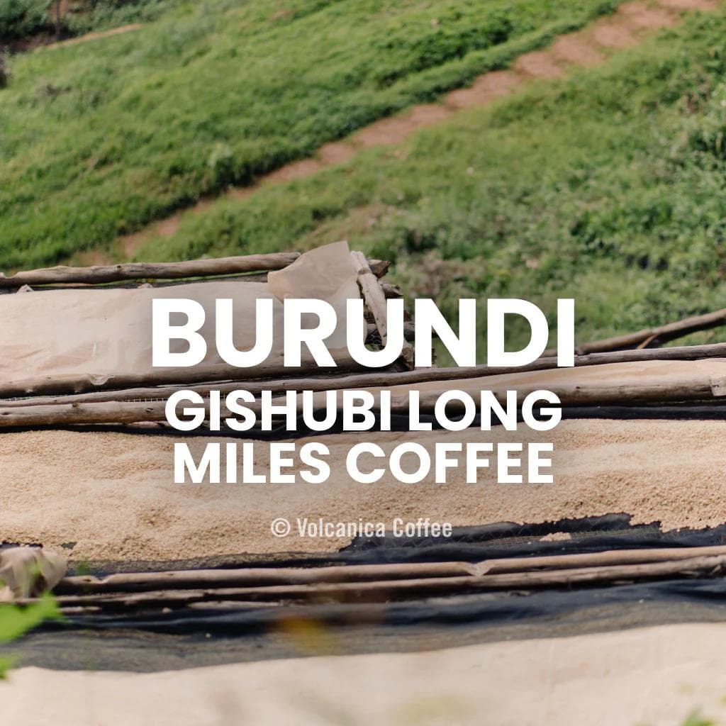 Image of Burundi Gishubi Long Miles Coffee