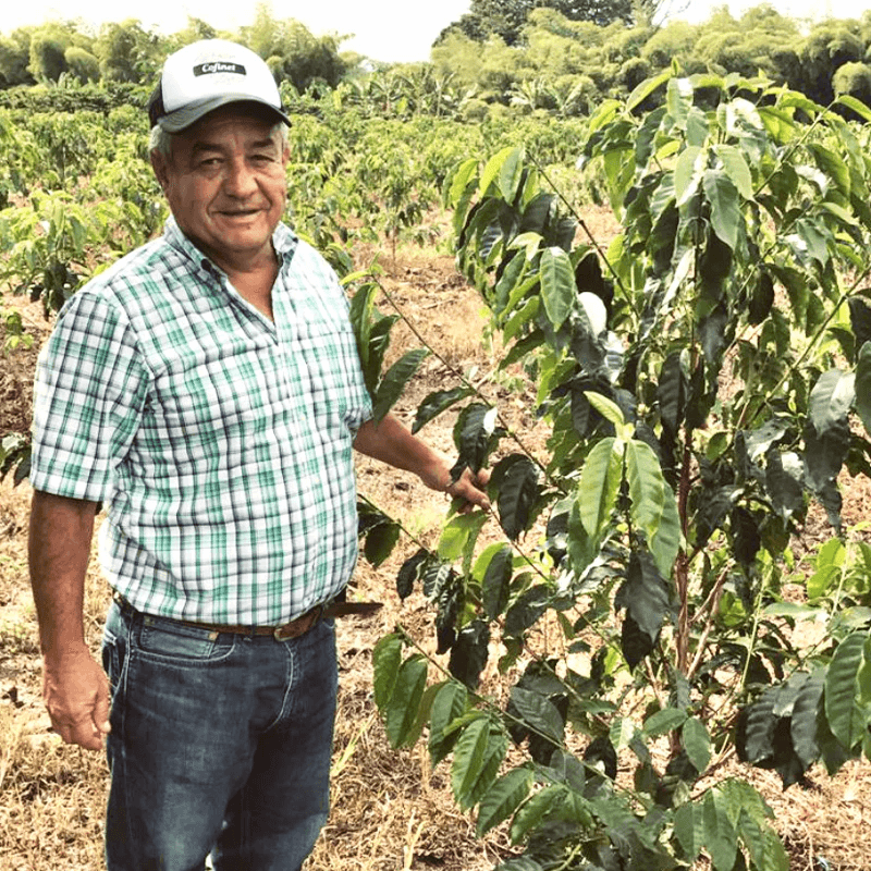 Image of Honey Pink Bourbon wTartaric Acid Orange