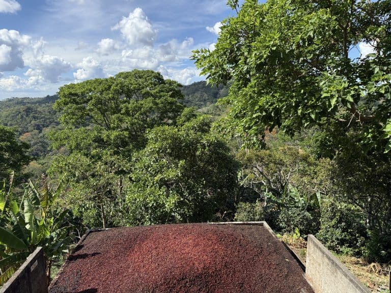 Image of Nicaragua Bethania