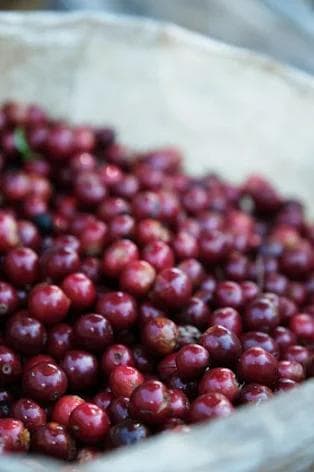 Image of Don Jaime Brew