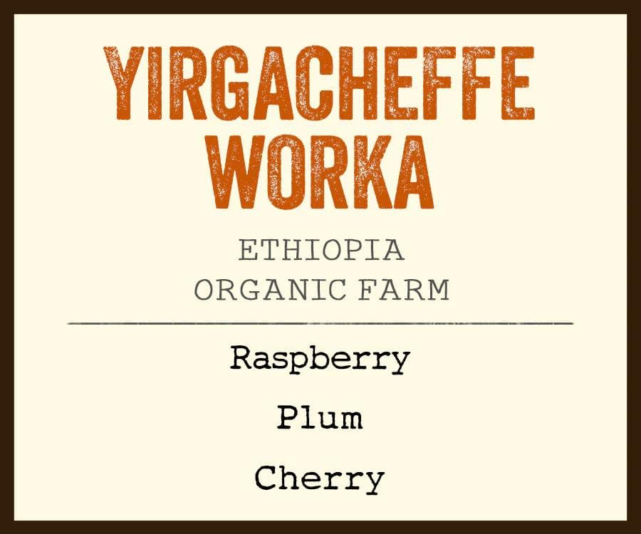 Image of Yirgacheffe Worka