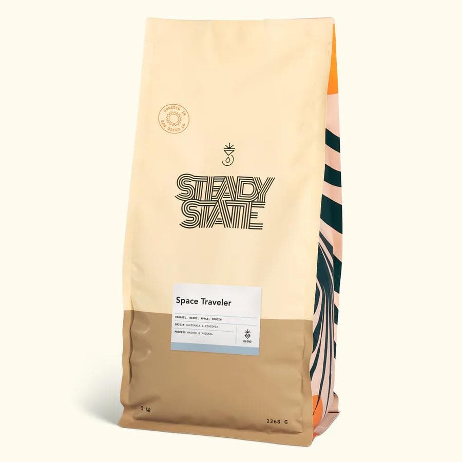 Image of Space Traveler