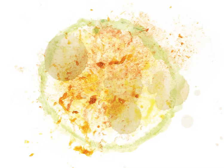 Image of Panama Los Lajones Geisha washed