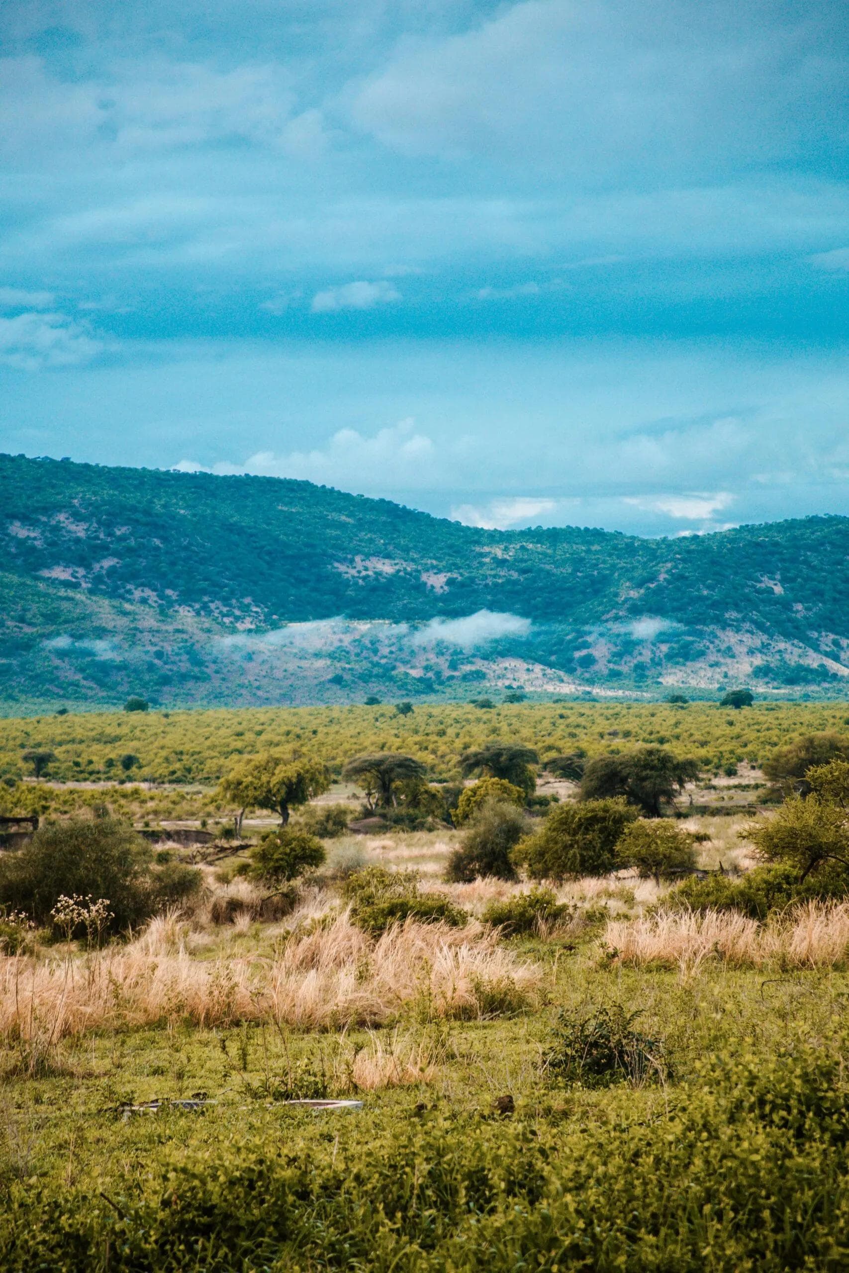 Image of Tanzania