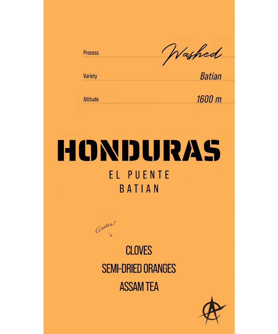 Image of Honduras El Puente, Batian - Washed