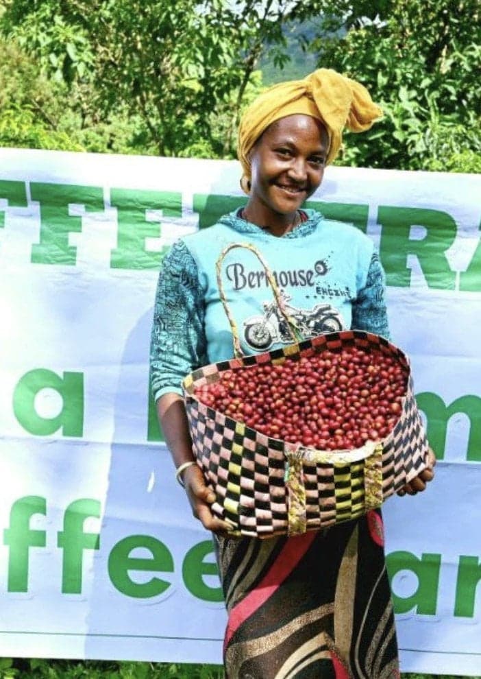 Image of Ethiopia Gori Gesha Forest Carbonic Maceration