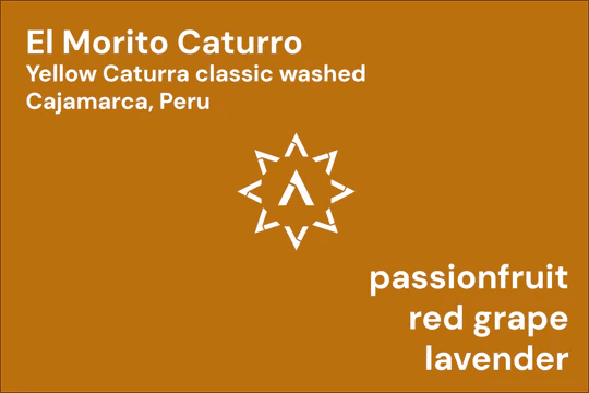 Image of El Morito Caturro