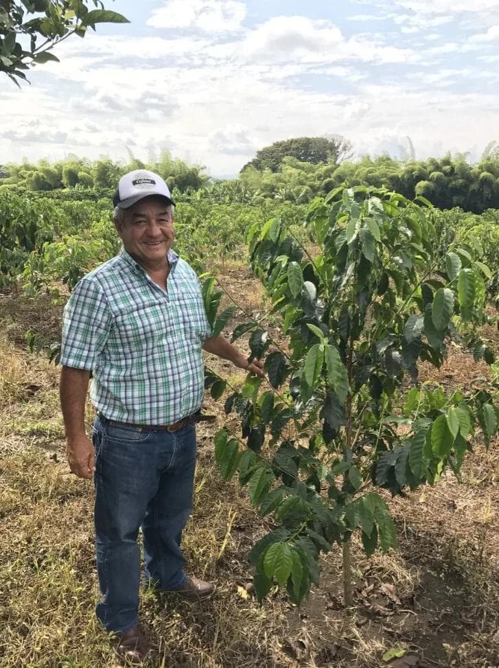 Image of Colombia Popayan EA Decaf