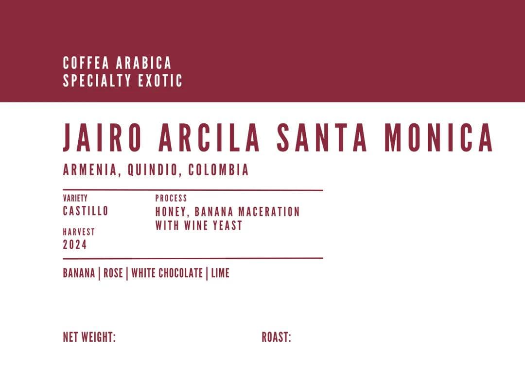 Image of Jairo Arcila Santa Monica - Banana