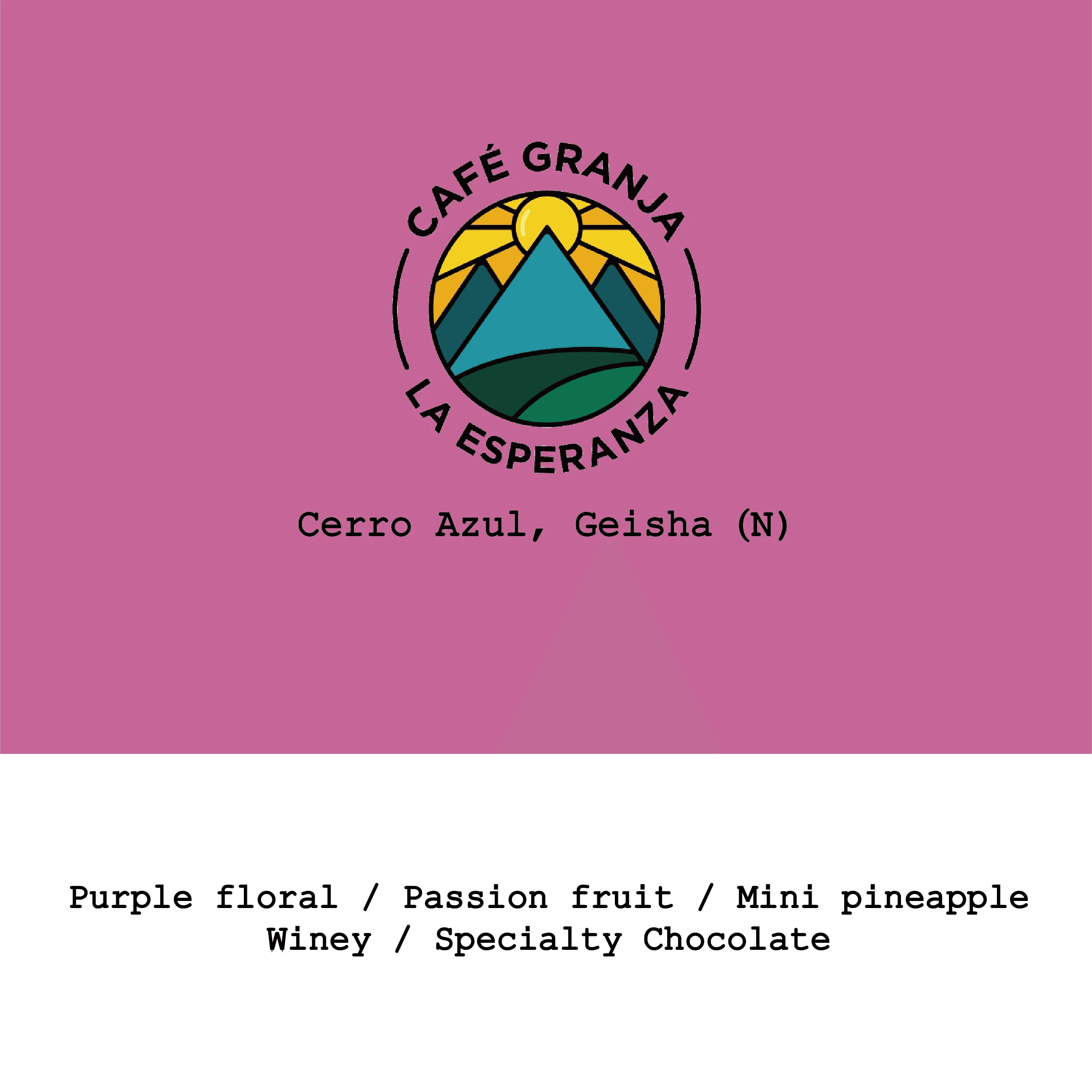 Image of New Crop Colombia Cafe Granja La Espenranza-Cerro Azul Geisha Natural