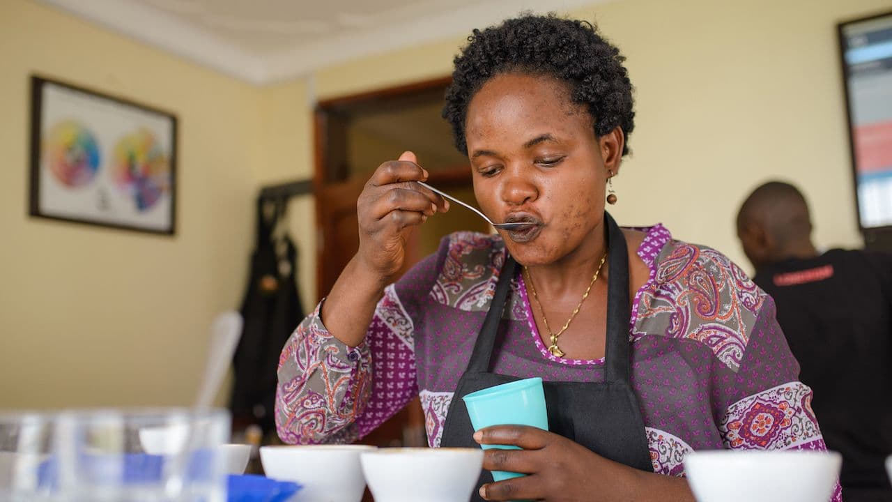 Image of Uganda Sironko Honey Process