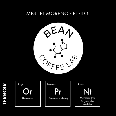 Image of Miguel Moreno  El Filo