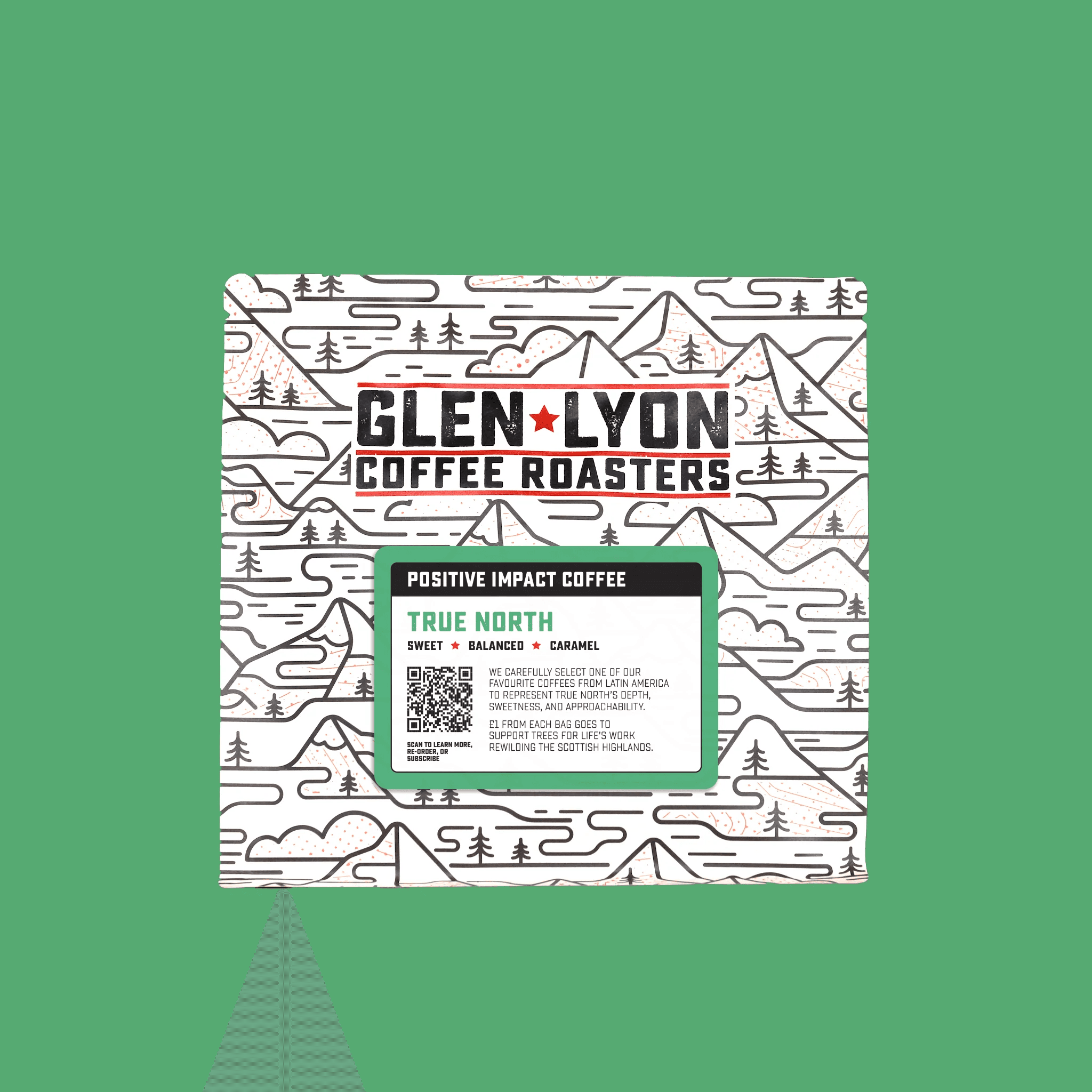 Image of True North - Armando Ramirez Sanchez