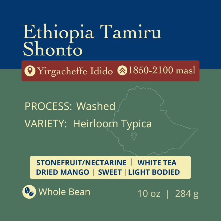 Image of Ethiopia Tamiru Shonto