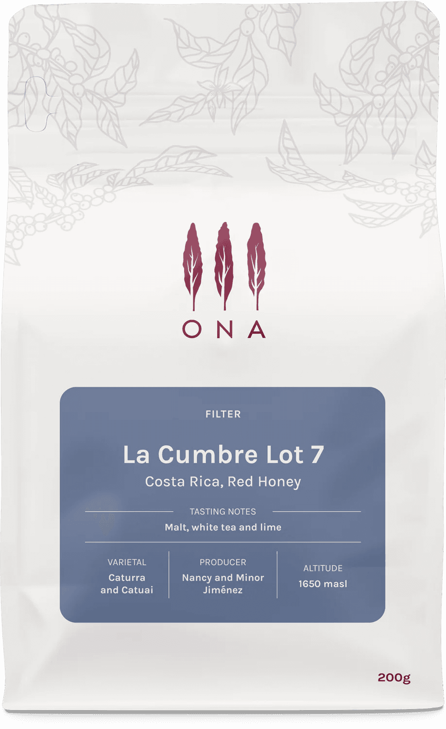 Image of La Cumbre Lot 7 Costa Rica Red Honey