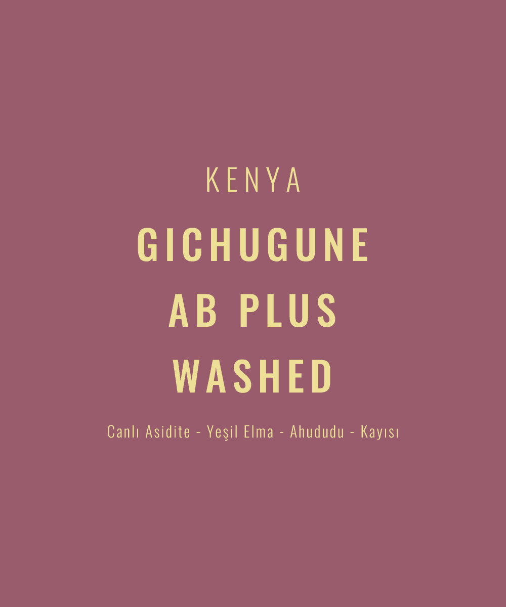 Image of Kenya - Gichugune AB Plus Washed