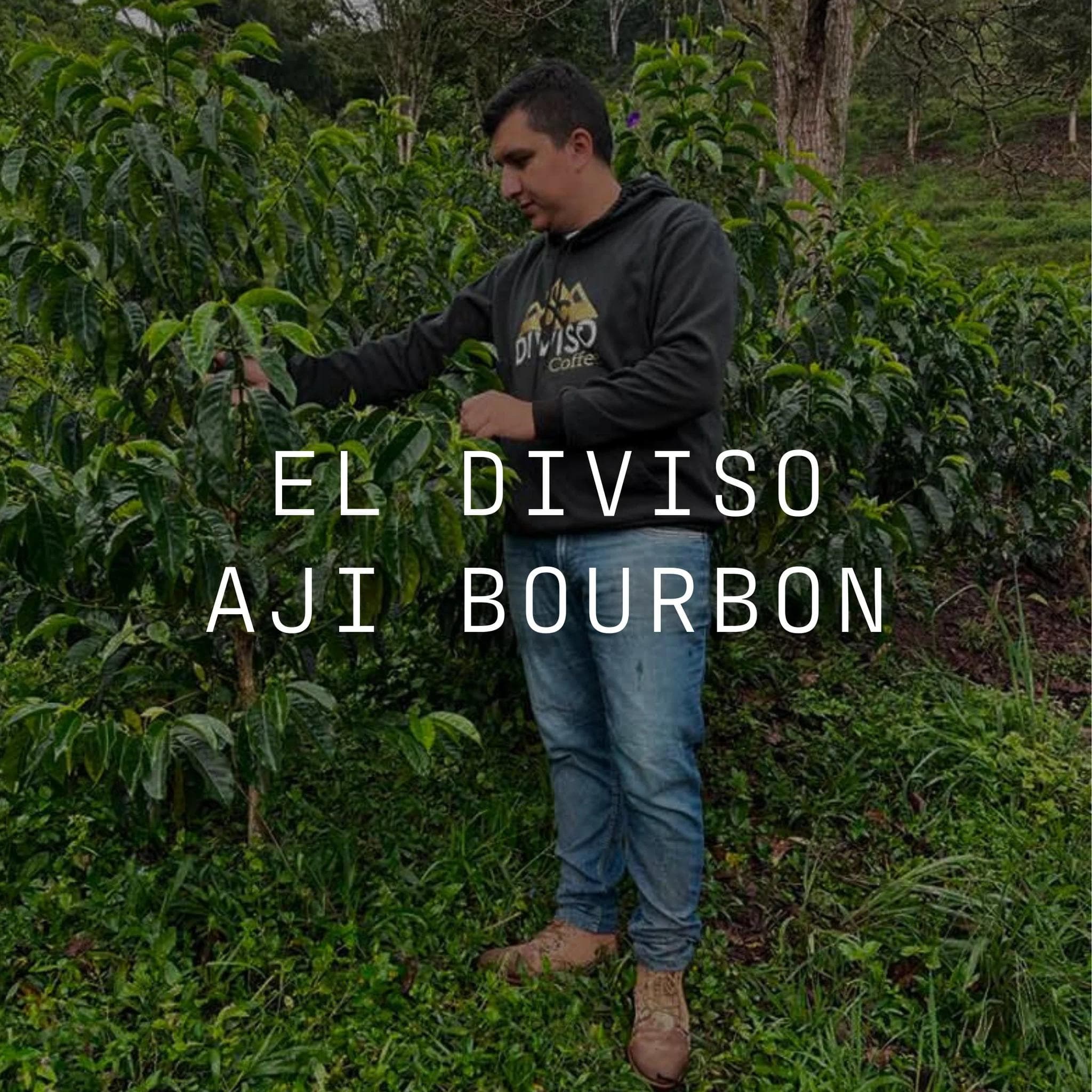 Image of El Diviso - Aji Bourbon - Thermal Shock Washed Colombia