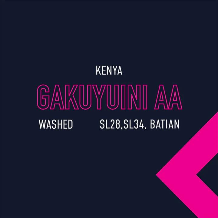Image of Kenya Gakuyuini AA