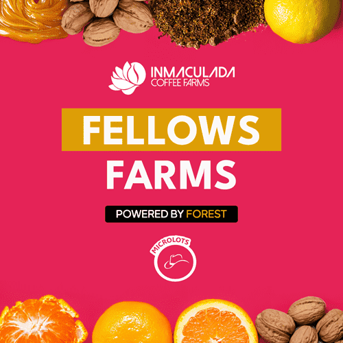 Image of Colombia - Fellows Farm