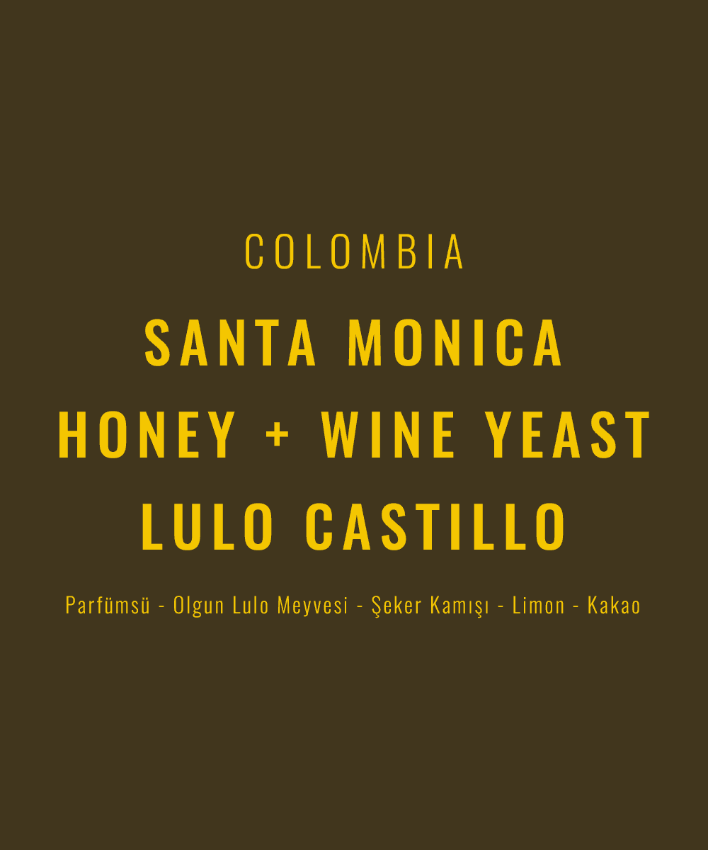 Image of Colombia - Santa Monica Honey Wine Yeast Lulo