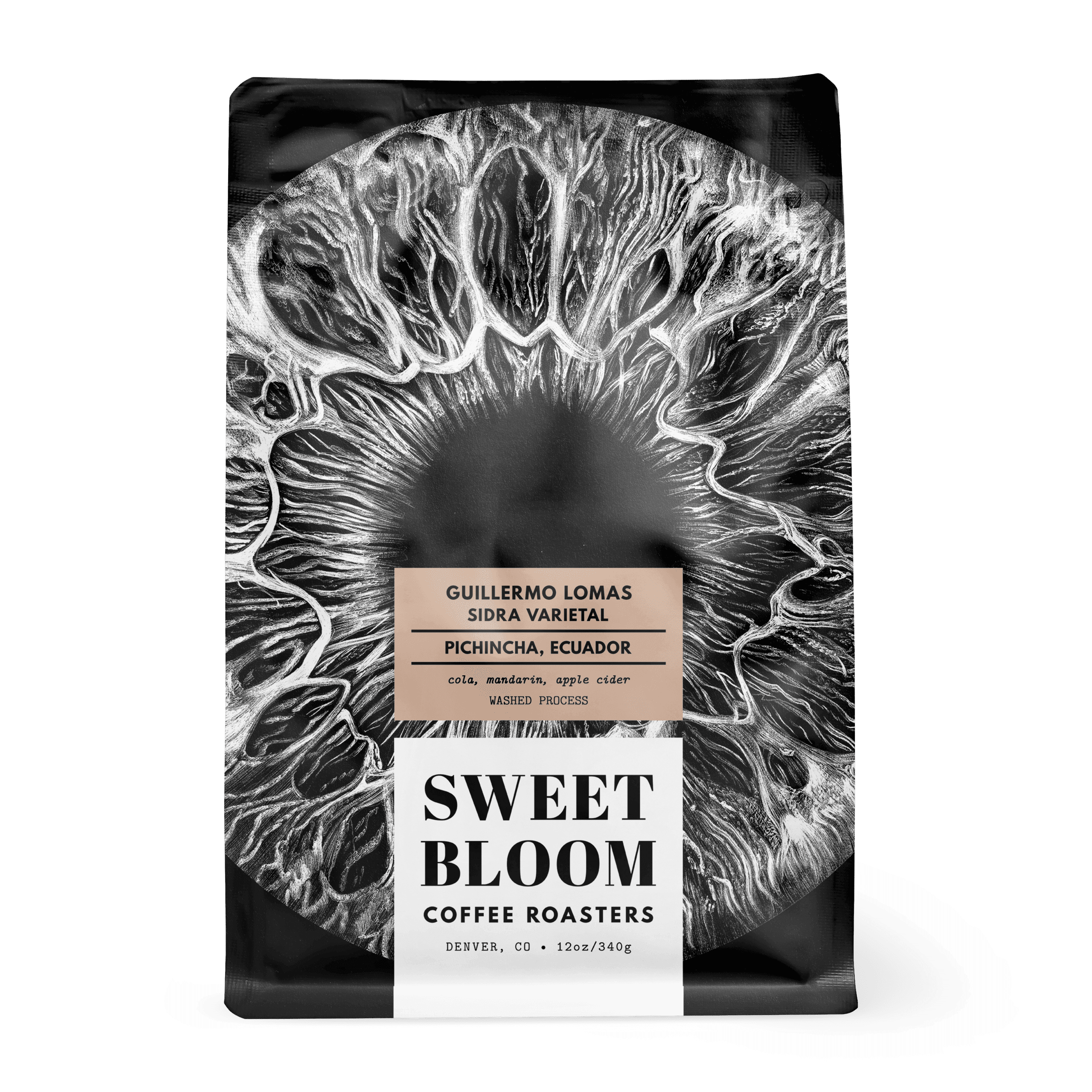 Image of Guillermo Lomas