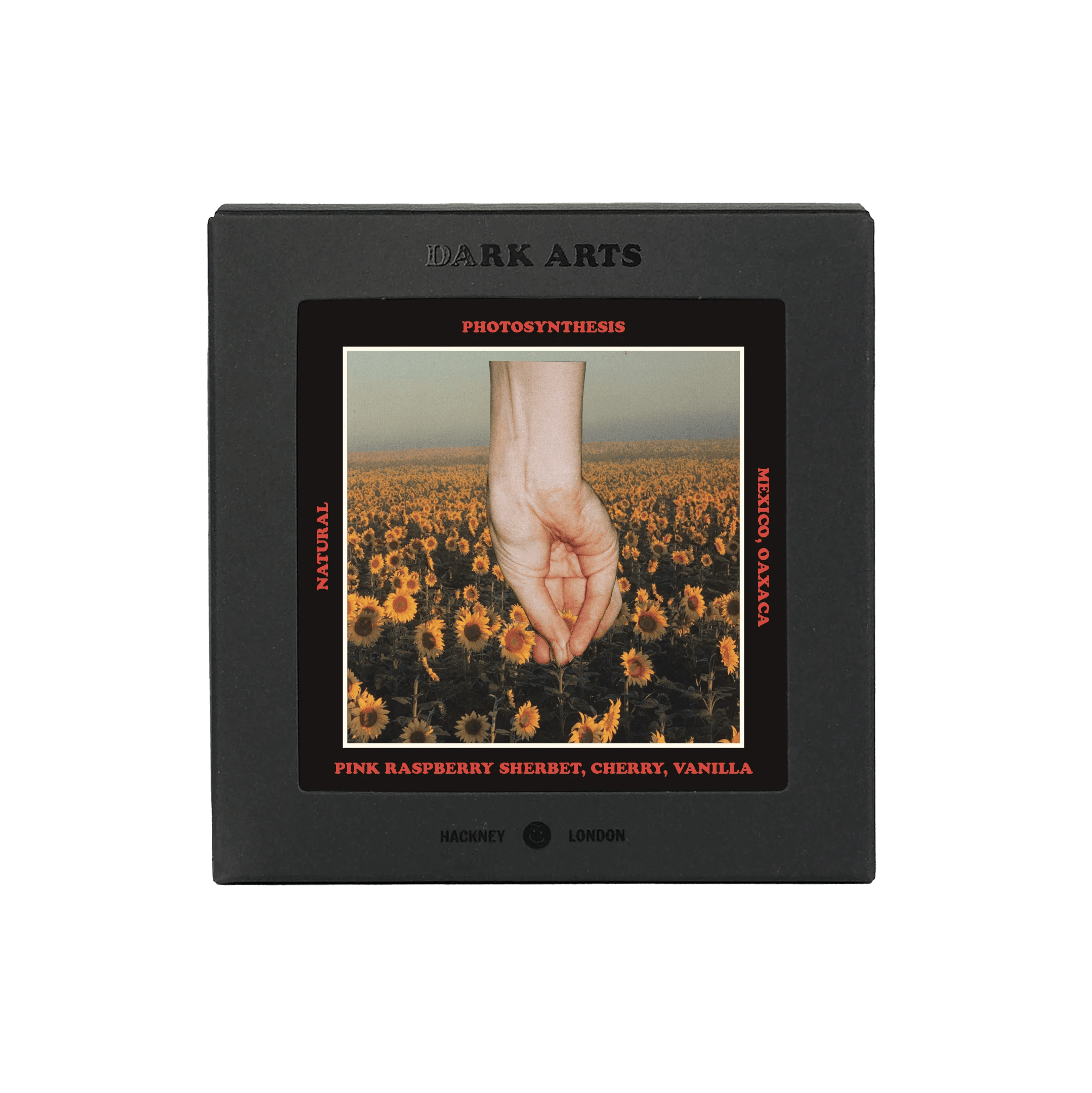 Image of Photosynthesis - Mexico