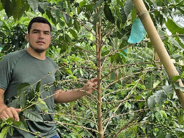 Image of Colombia Finca Las Brisas Gesha