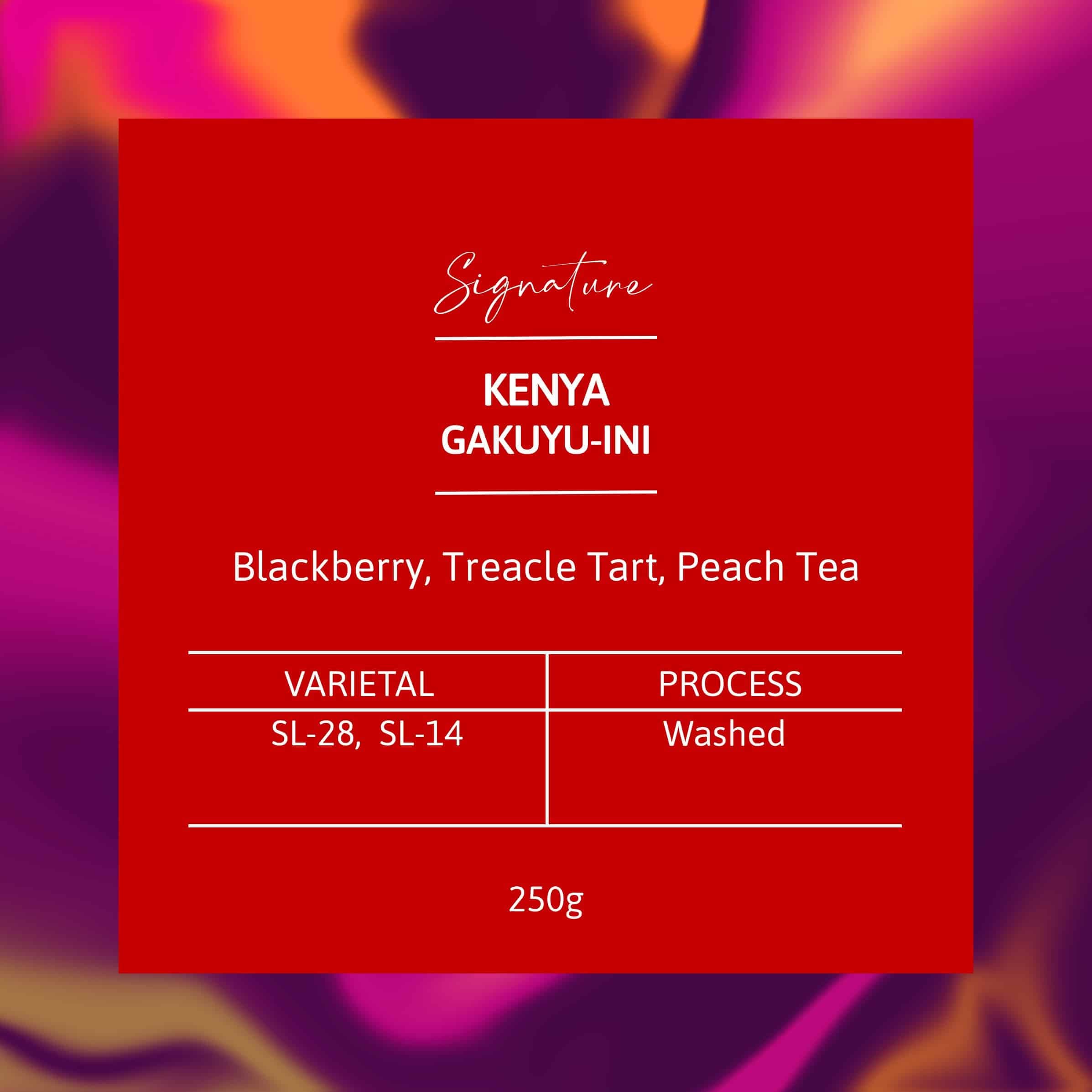 Image of Kenya Gakuyu-ini Peaberry