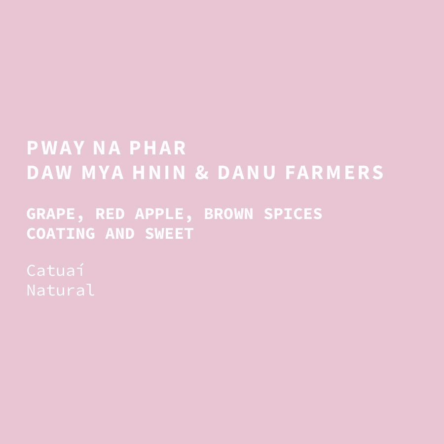 Image of Myanmar Pway Na Phar