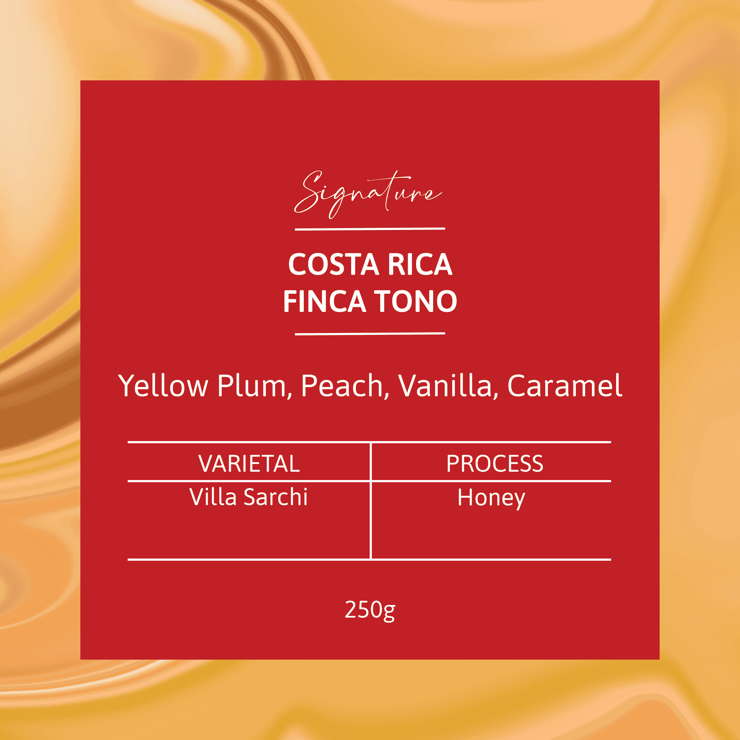 Image of Costa Rica Finca Tono