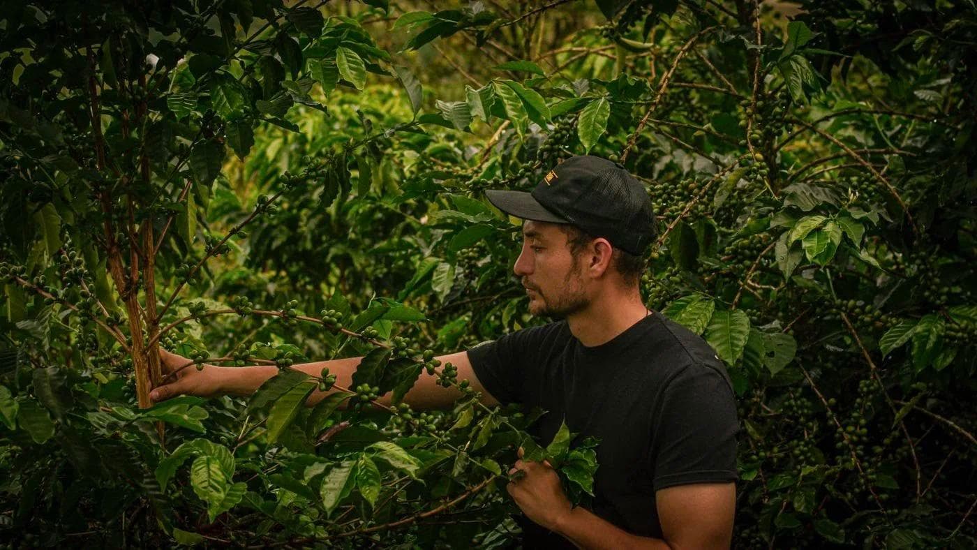 Image of Colombia - El Ajial