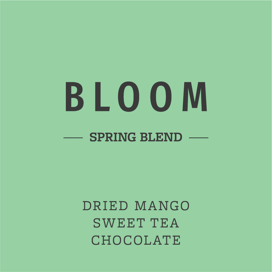 Image of Bloom - Seasonal Blend