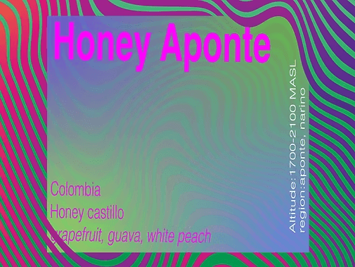 Image of Honey Aponte 