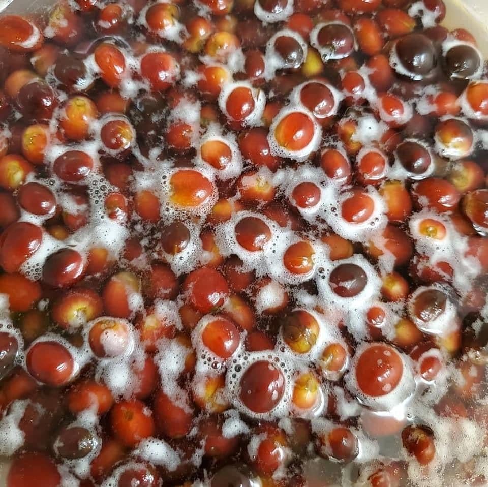 Image of Kona Champagne Natural