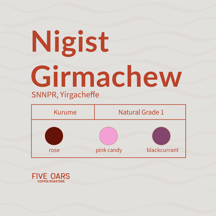 Image of Nigist Girmachew