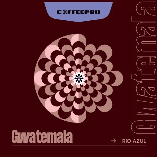 Image of Guatemala Rio Azul