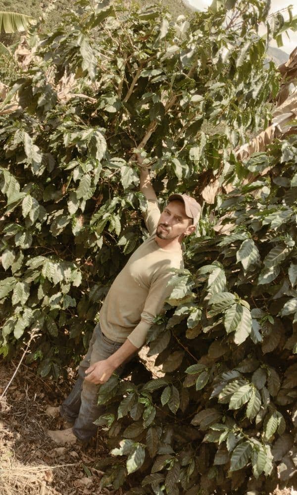 Image of Sitio Sertaozinho