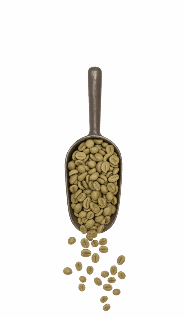 Image of Raw Coffee Kenya Kiamutuira