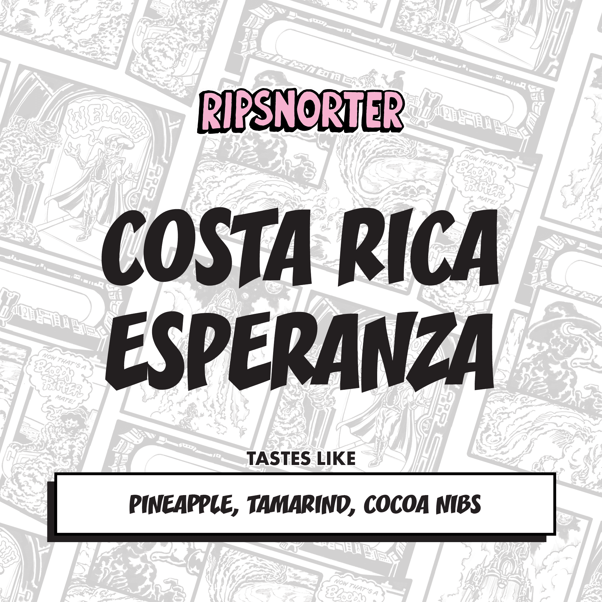 Image of Esperanza Costa Rica Natural