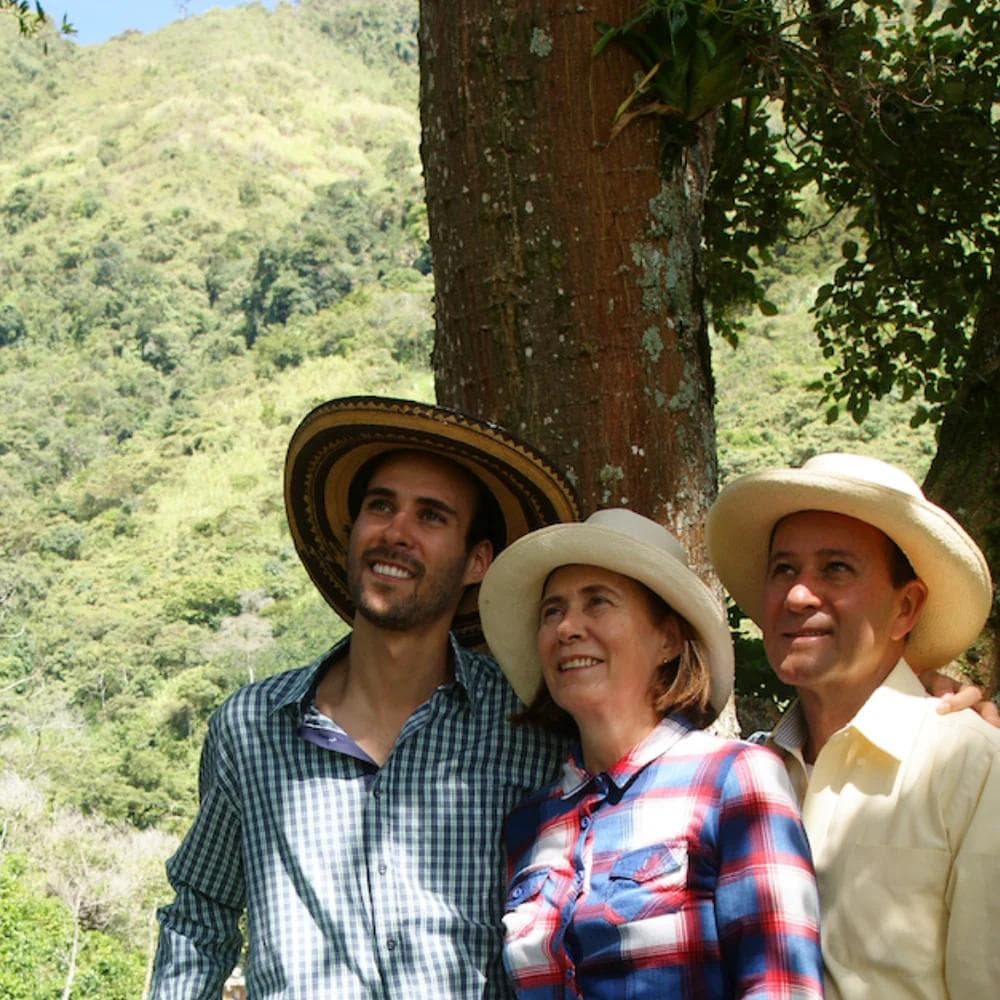 Image of Colombia - Finca La Cascada - Yellow Geisha (Unique Varietal)