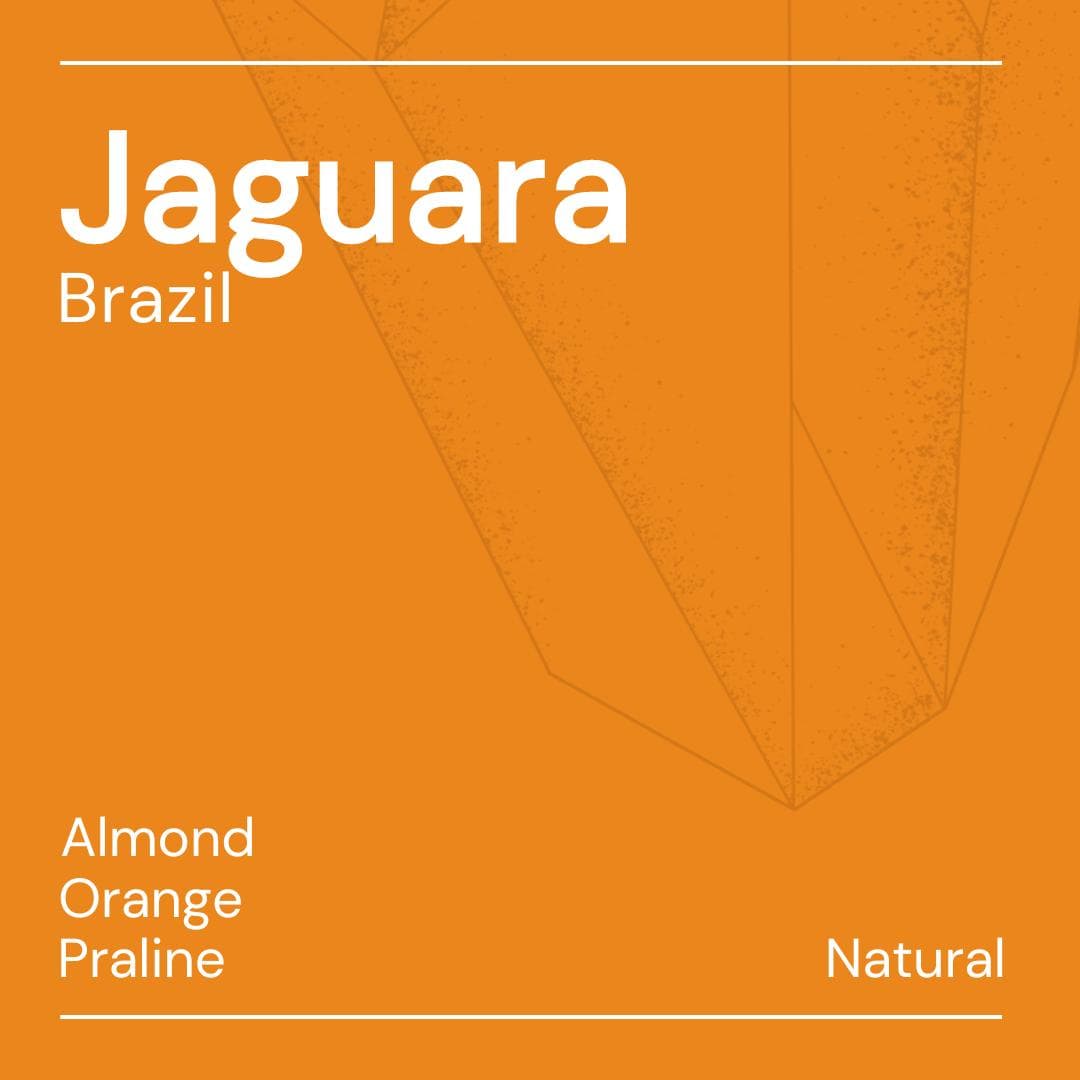 Image of Jaguara