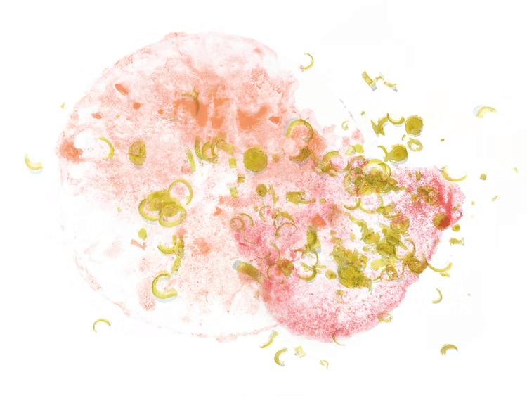 Image of Paraiso Decaf Bourbon