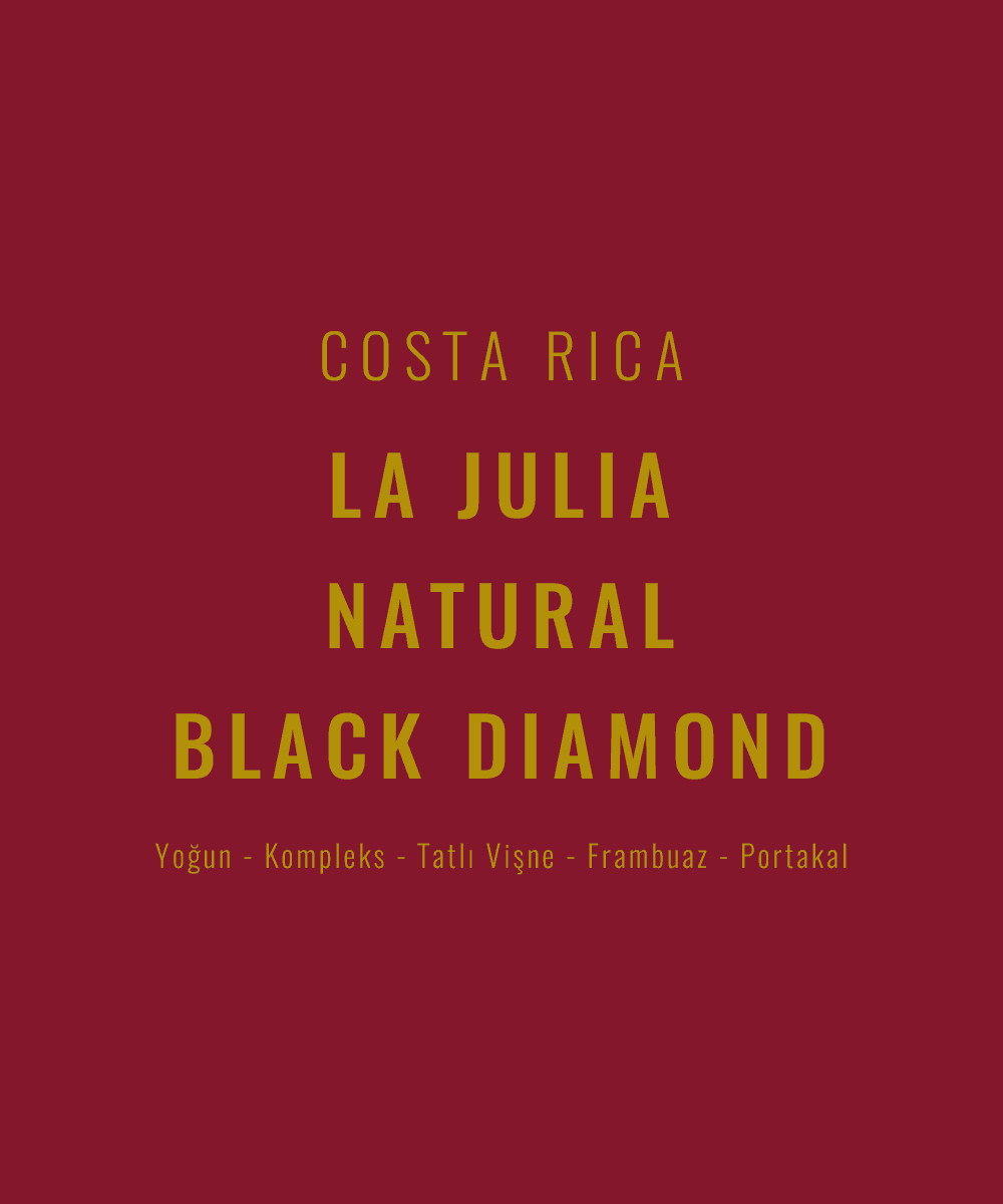 Image of Costa Rica - La Julia Natural Black Diamond