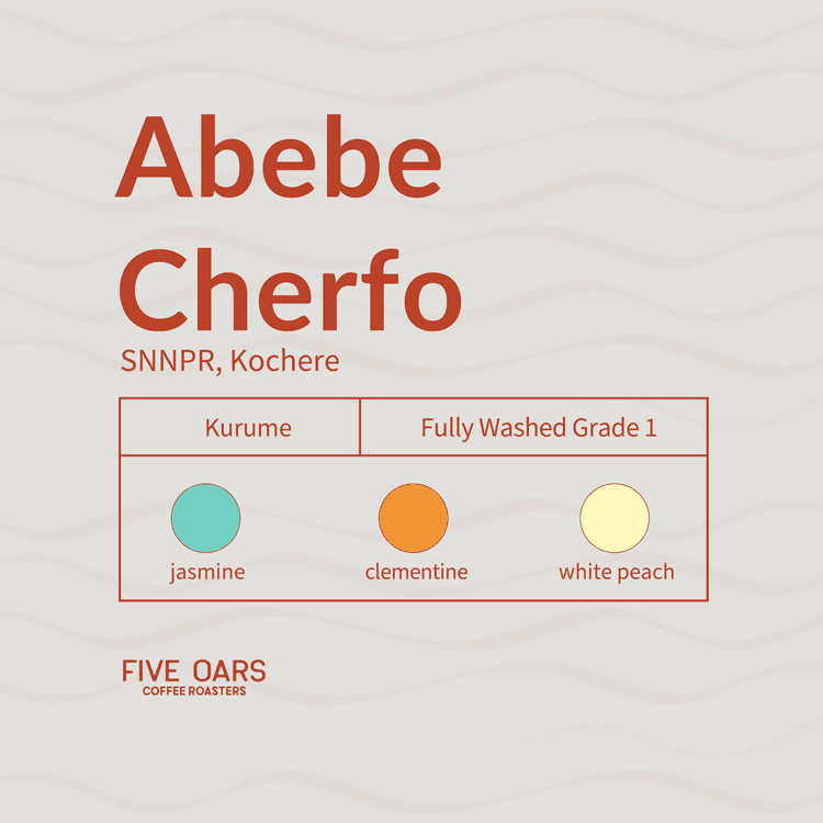 Image of Abebe Cherfo